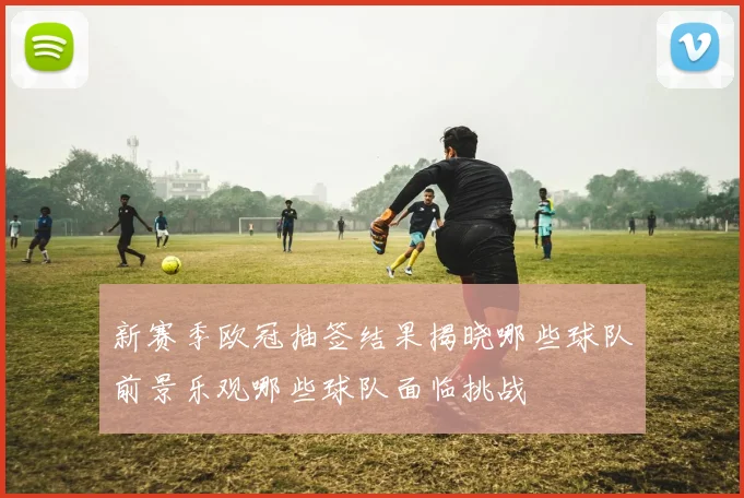 新赛季欧冠抽签结果揭晓哪些球队前景乐观哪些球队面临挑战